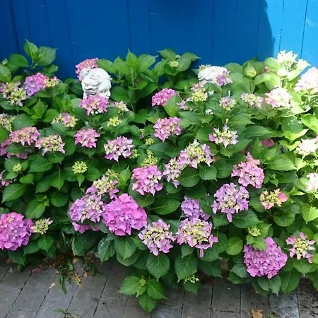 住宿加早餐酒店 Heritage 4*