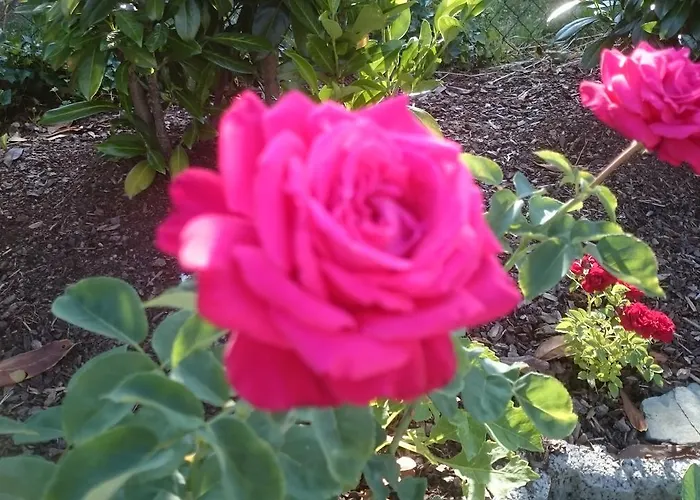 住宿加早餐酒店 Heritage 米尔海姆