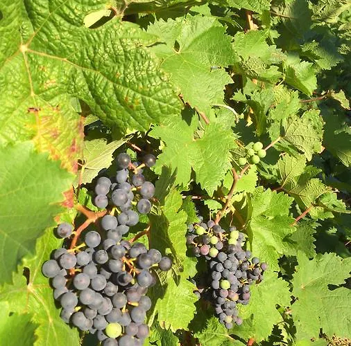 住宿加早餐酒店 Heritage