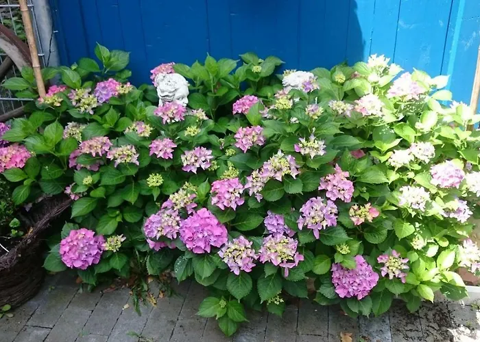 住宿加早餐酒店 Heritage 4*