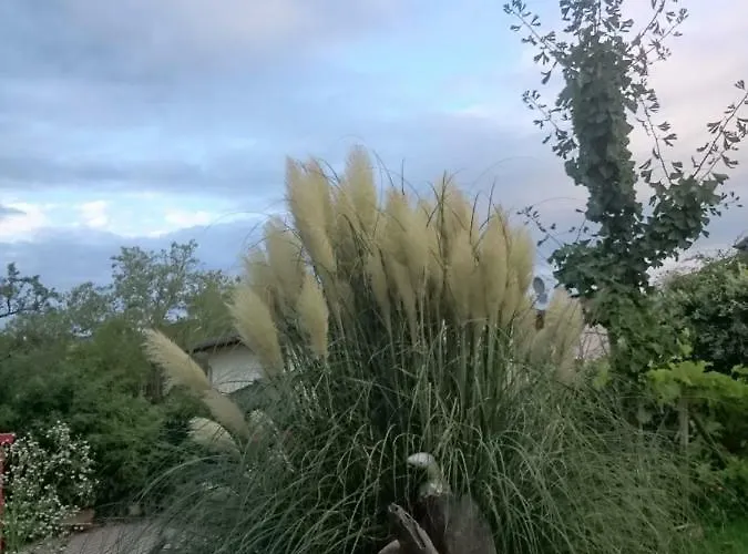 Heritage 住宿加早餐酒店